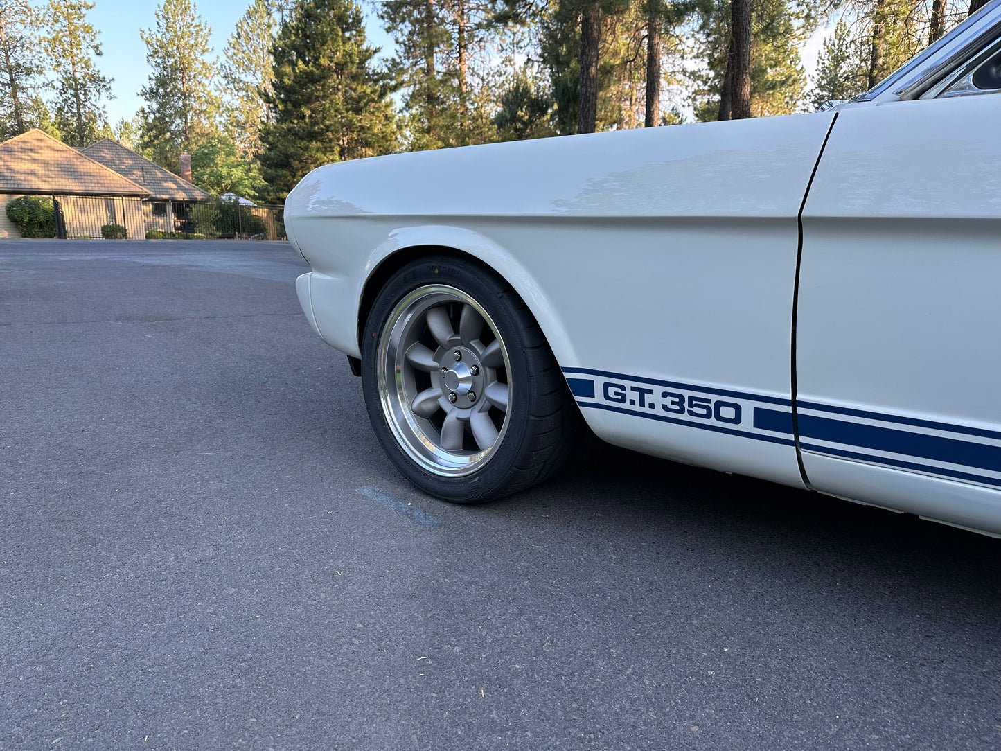 Custom Wheel Cap for E-T Mag Wheels - Push In Style
