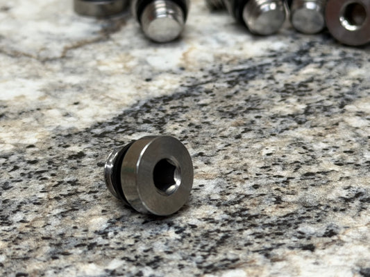 S550 Temperature Sensor Plug